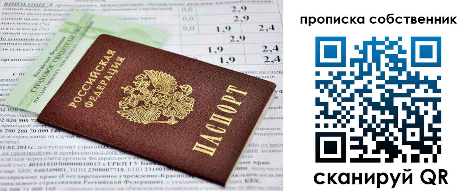 прописка 2025 в Ясном